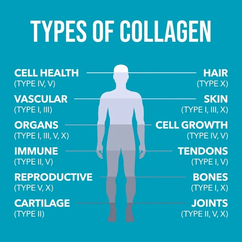 Natures Plus Collagen Peptides 294g 4
