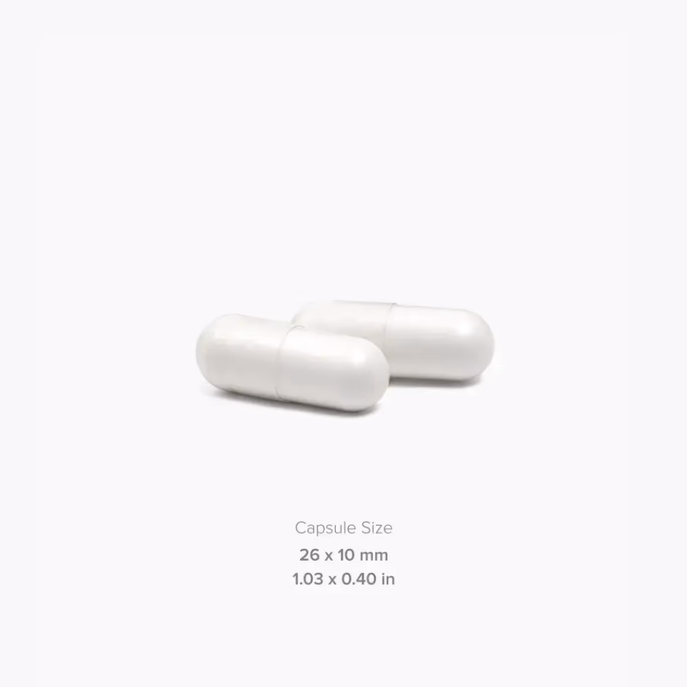 Maxler Golden Creatine 2500 mg Capsules 2