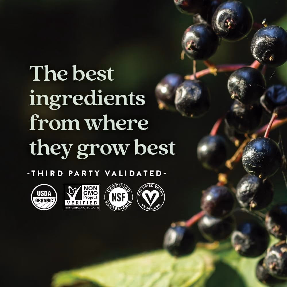 New Chapter Organic Elderberry 60 Gummies 2