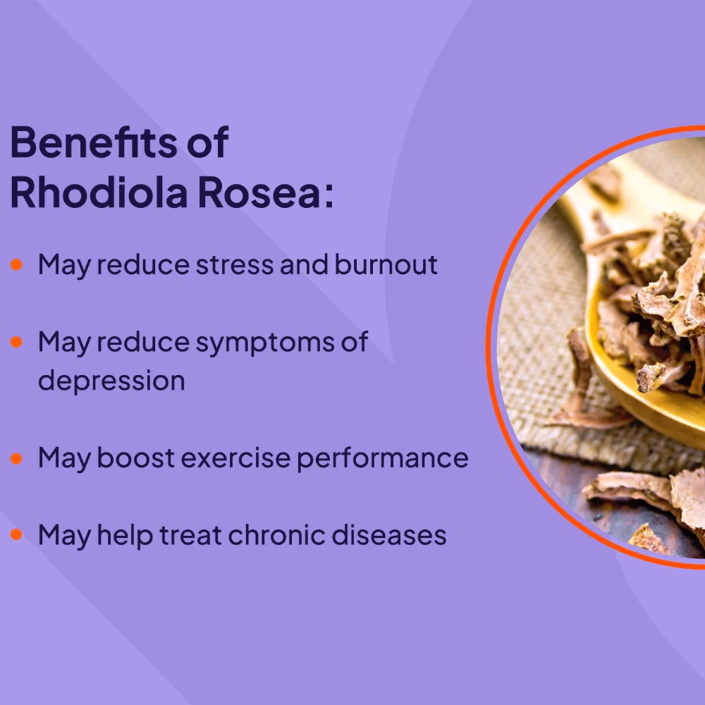 Swanson Rhodiola Rosea Extract 60 Capsules  2
