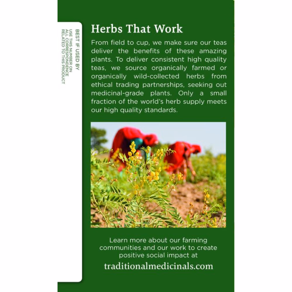 Traditional Organic Fennel Tea Bags - 16s 4