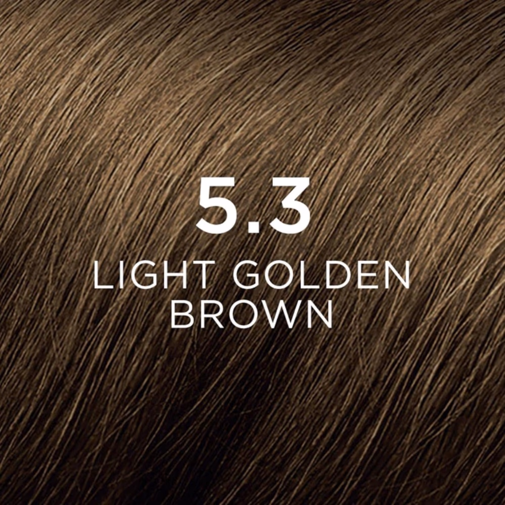 Phyto Color 5.3 Light Golden Brown  3