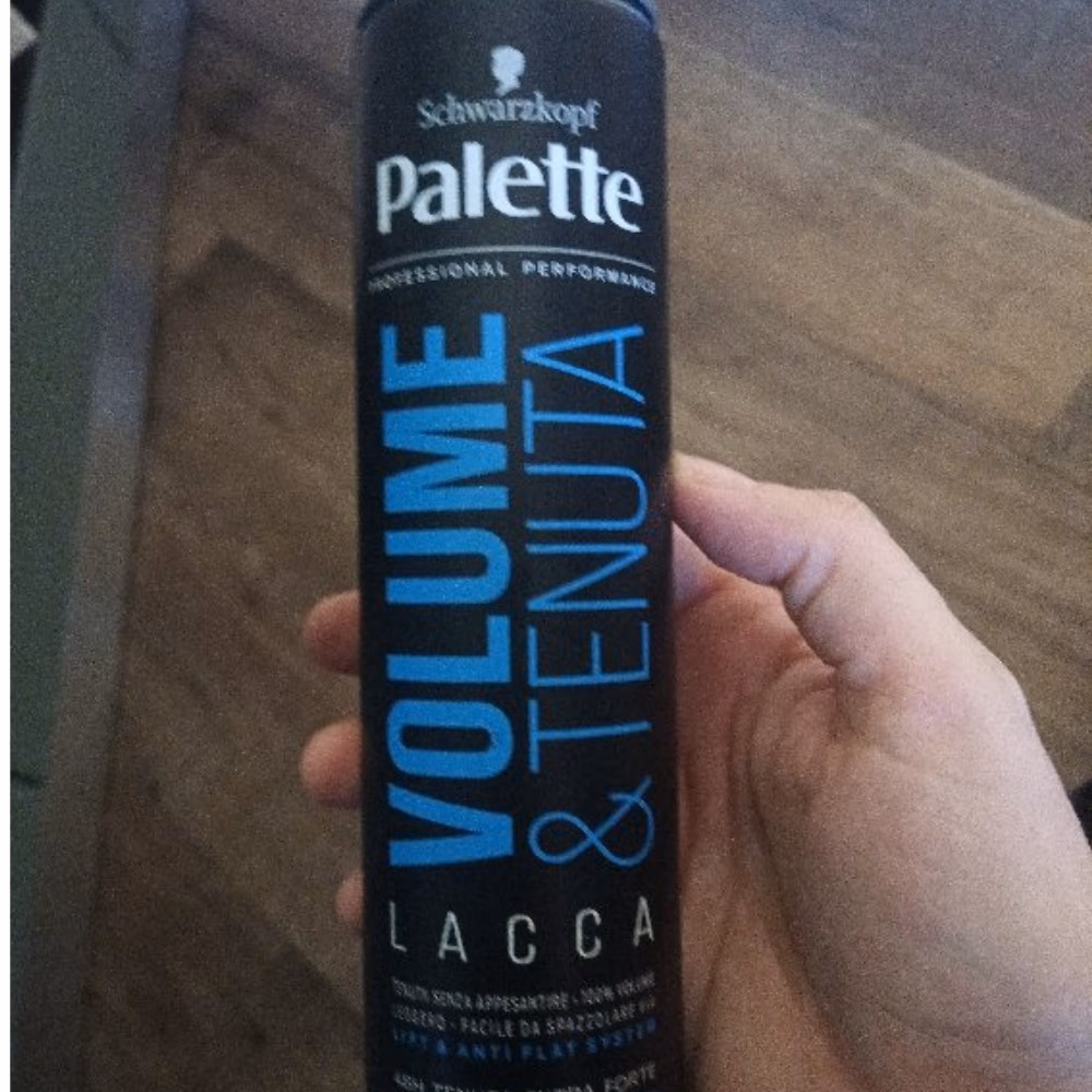 Schwarzkopf Palette Volume Tenuta Lacca No-4 300ml 2