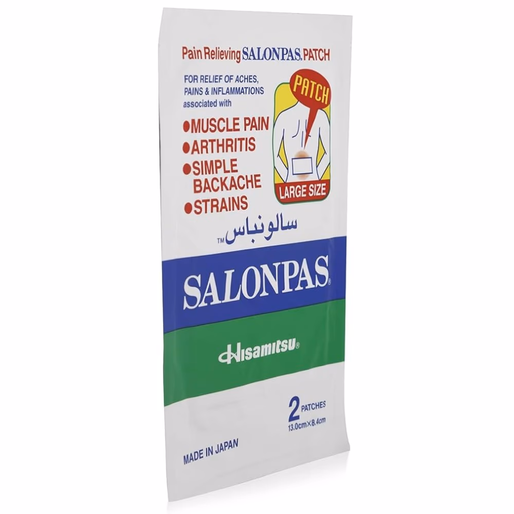 Salonpas Hot Patch Pain Relief 2 Patches 2