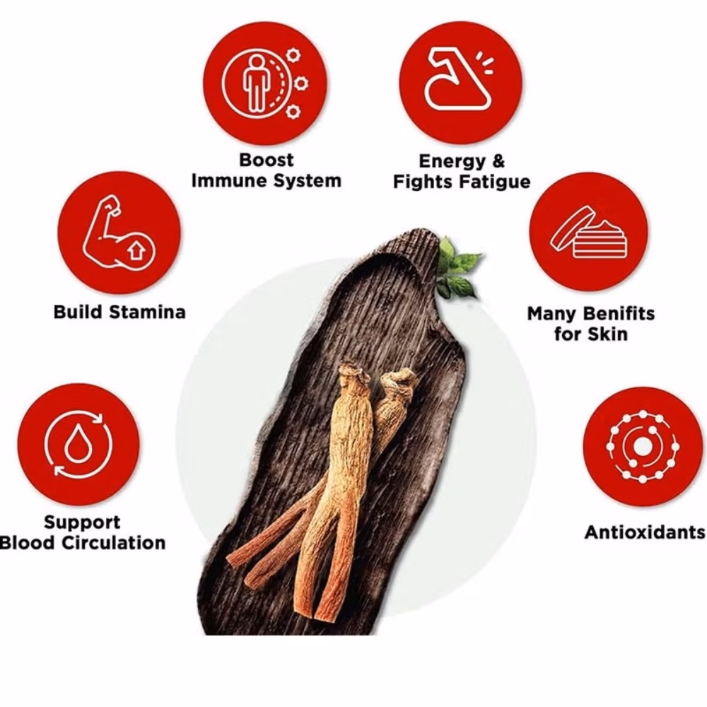 CheongKwanJang Korean Red Ginseng Extract 240g – Premium Herbal Supplement for Energy & Immune Support 5