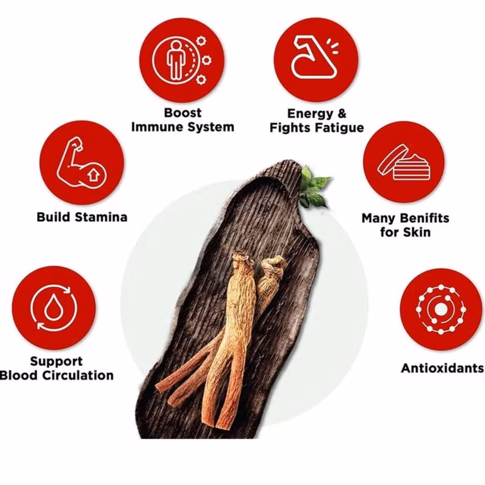 CheongKwanJang Korean Red Ginseng Powder 180 Capsules – Herbal Supplement for Energy & Immune Support 3