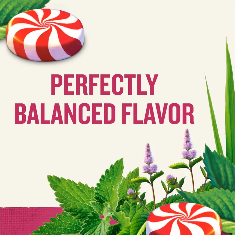 Celestial Herbal Tea Bag Peppermint 20 Sachets 3