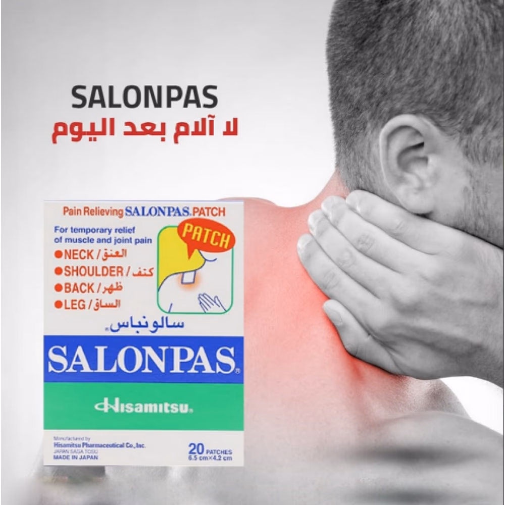 Salonpas Pain Relief Patch - 20 Patches 2