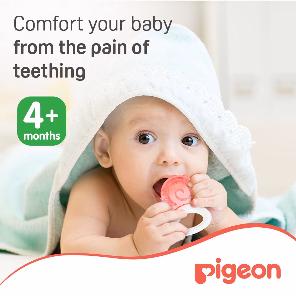 Pigeon Cooling Teether 4+ Month 625 3