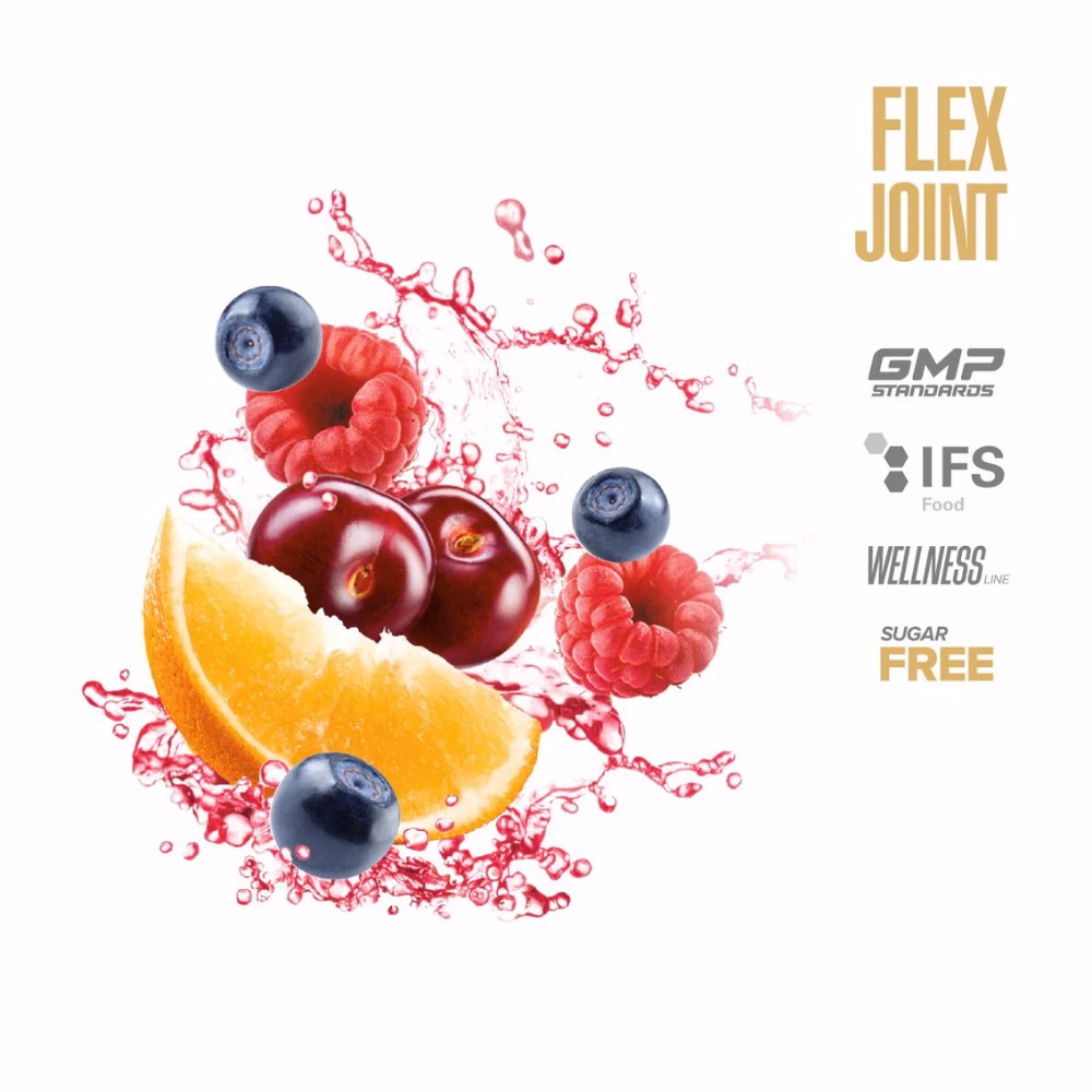 MAXLER FLEX JOINT POWDER FRUIT PUNCH 360GM 2