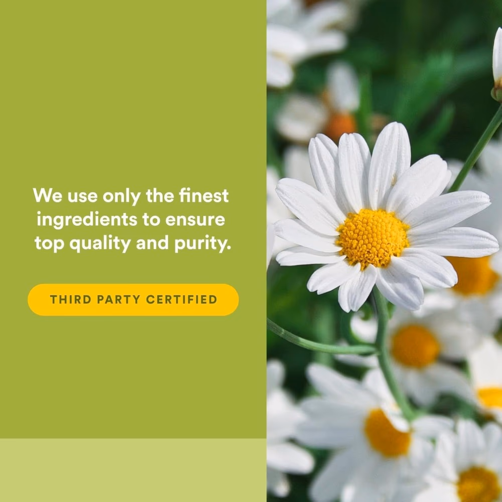 Natural Factors Gastro Assist 60s 3