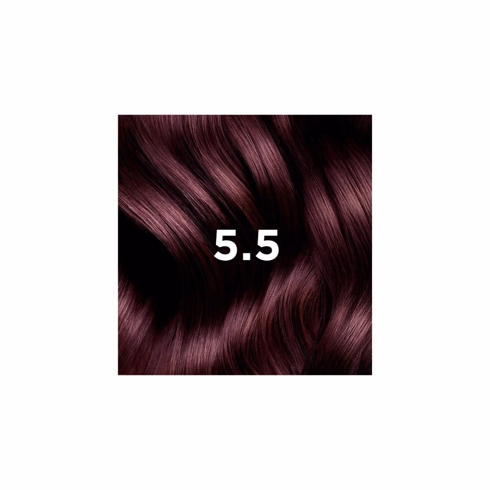  Phyto Color 5.5 Chatain Clair Acajou 2