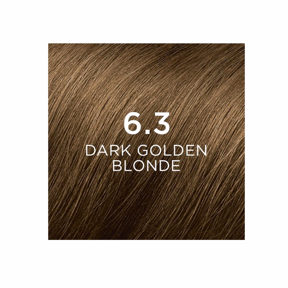 Phyto Color 6.3 Dark Golden Blonde 2