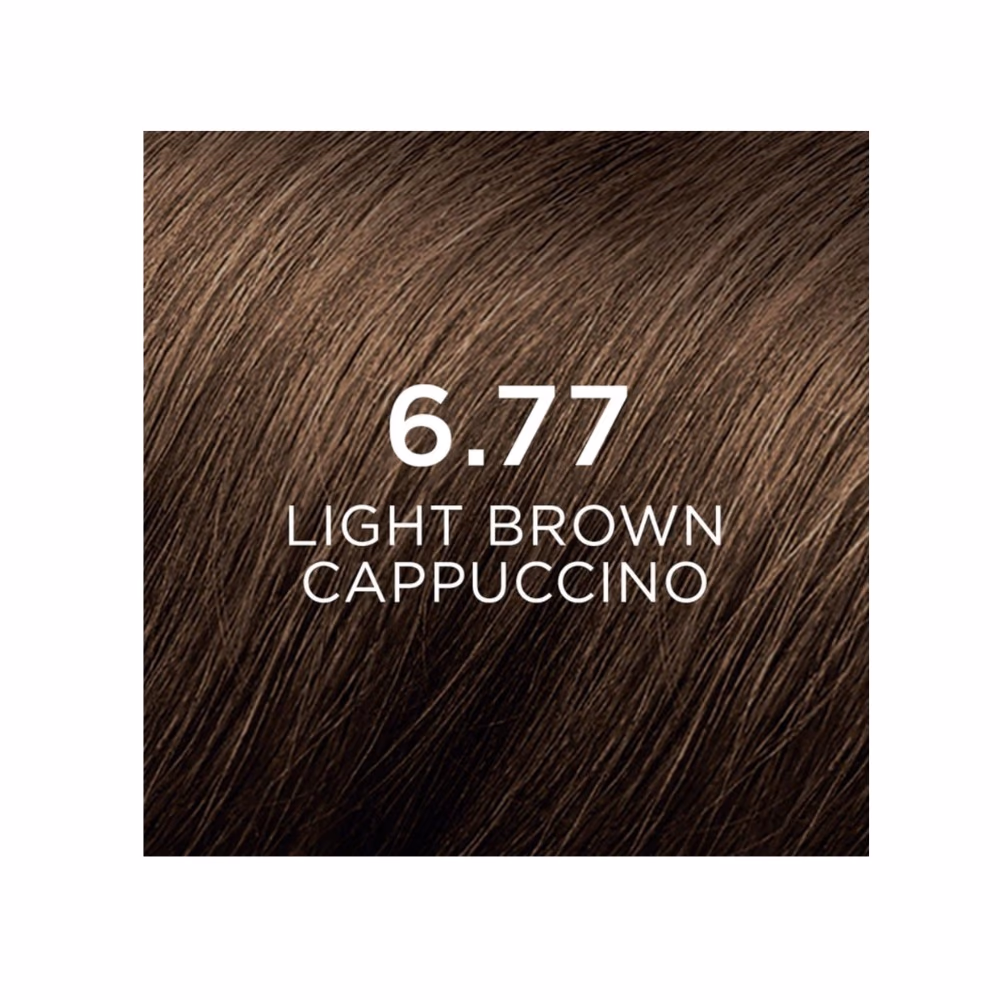 Phyto Color 6. 77 Light  Brown 2
