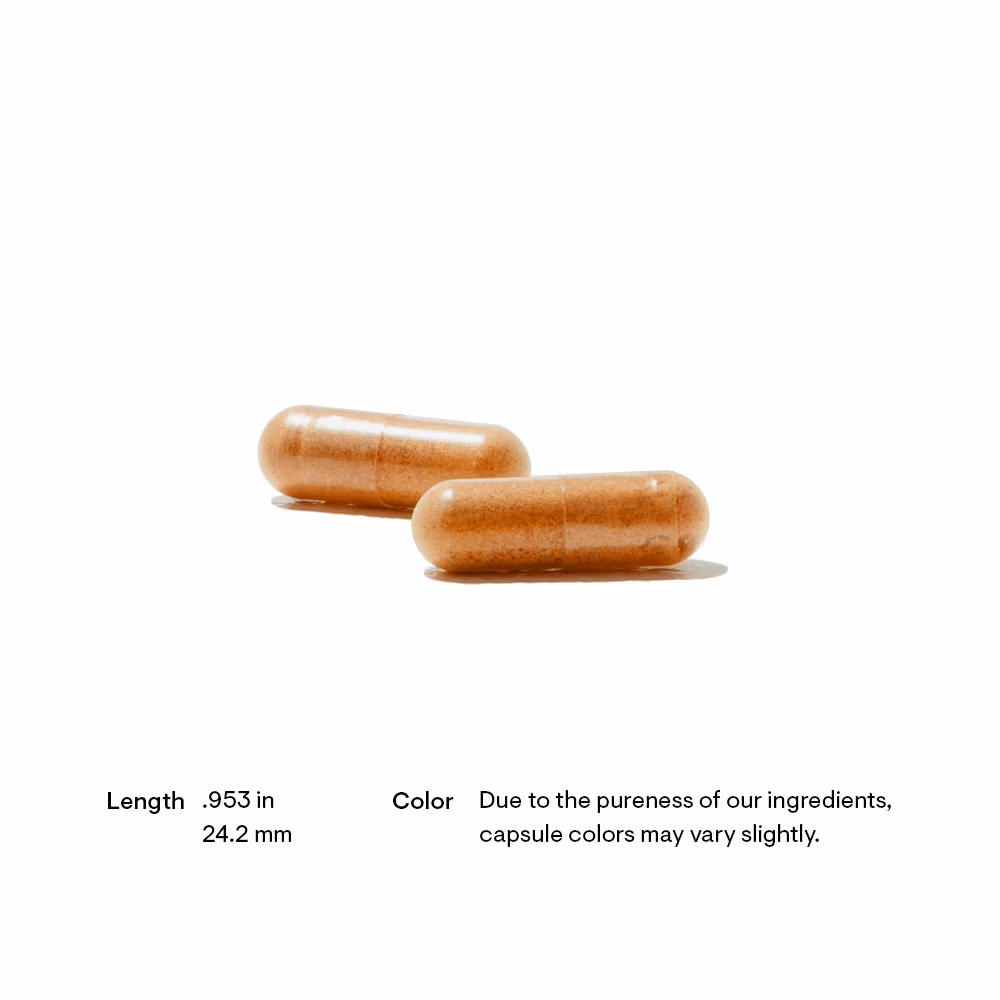 Thorne Red Yeast Rice CoQ10 – 120 Capsules 4